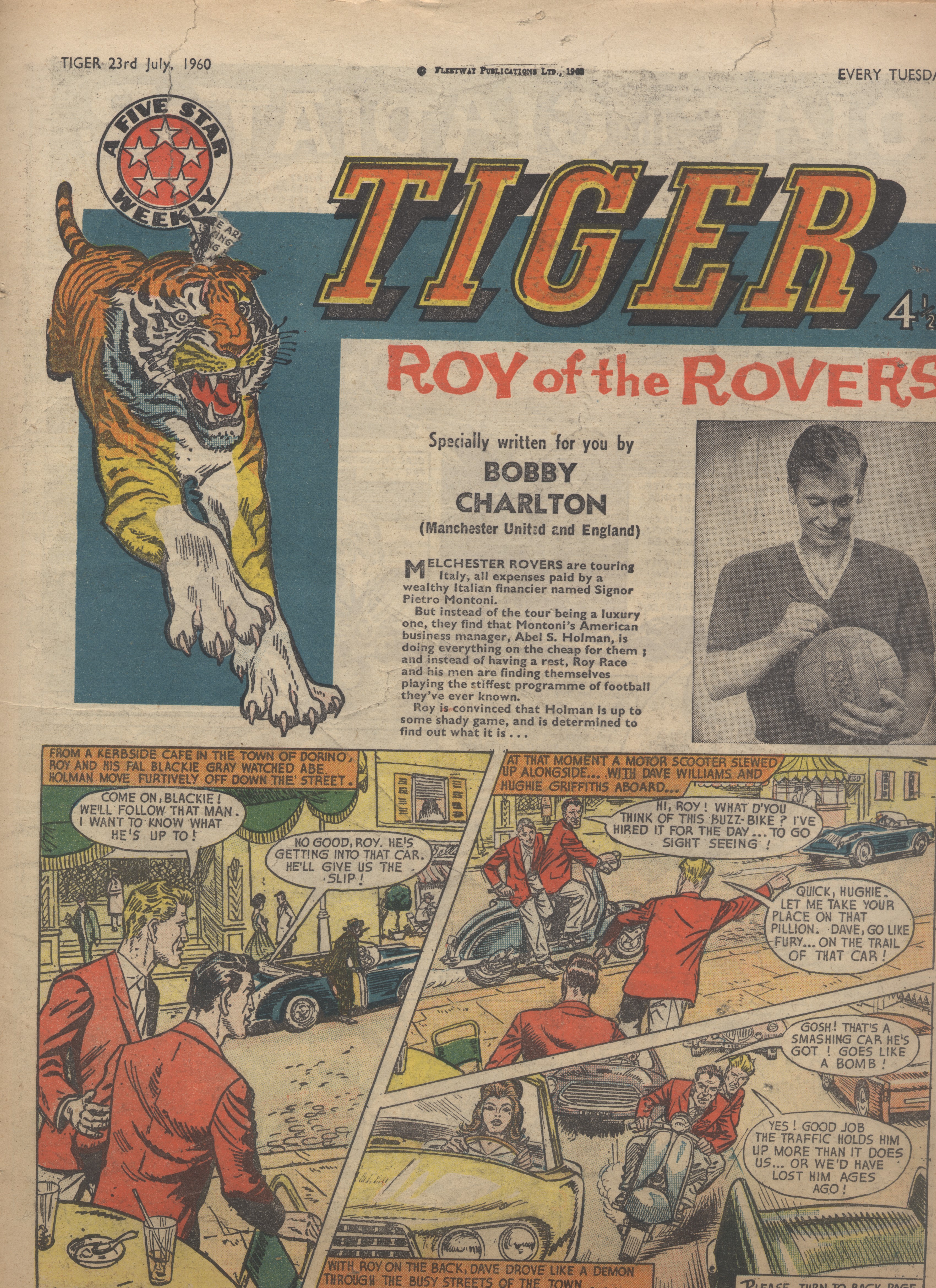 Tiger